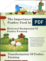 The Importance Of Good Poultry Feed In India​