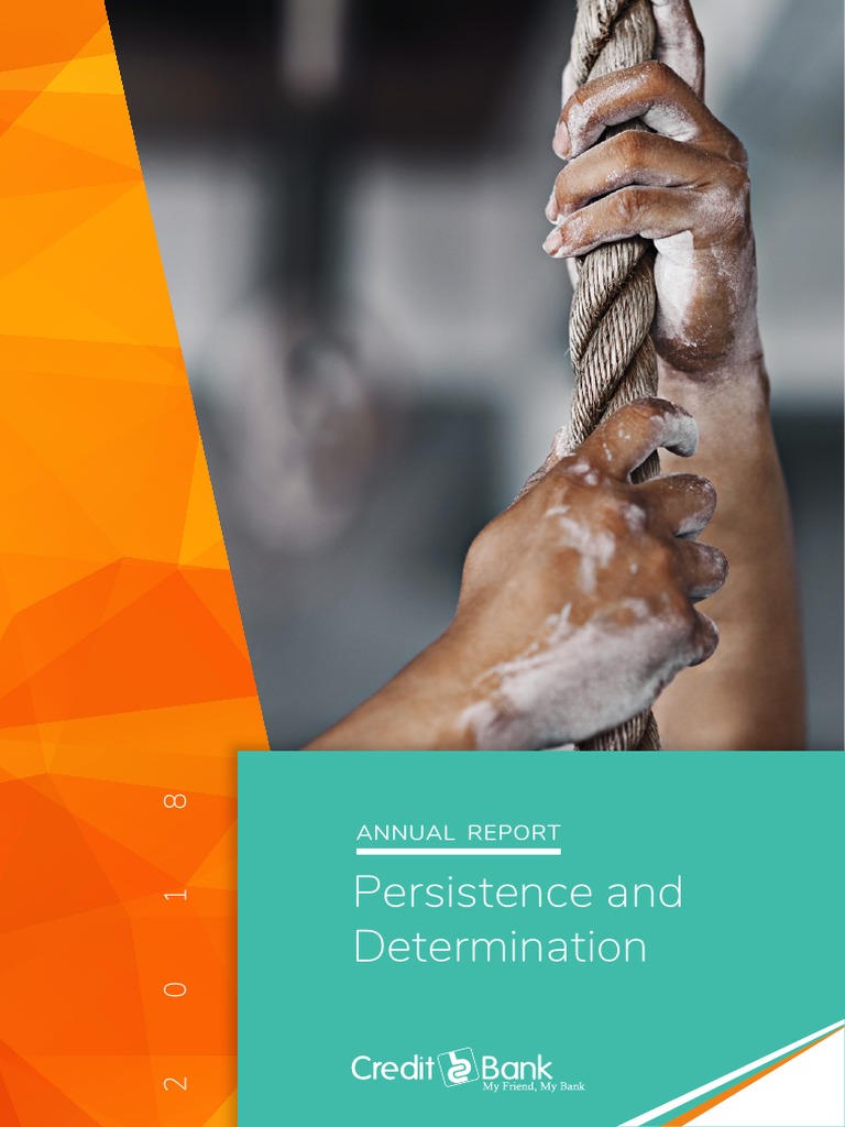 2018 Annual Report PDF | PDF | Financial Statement | Audit