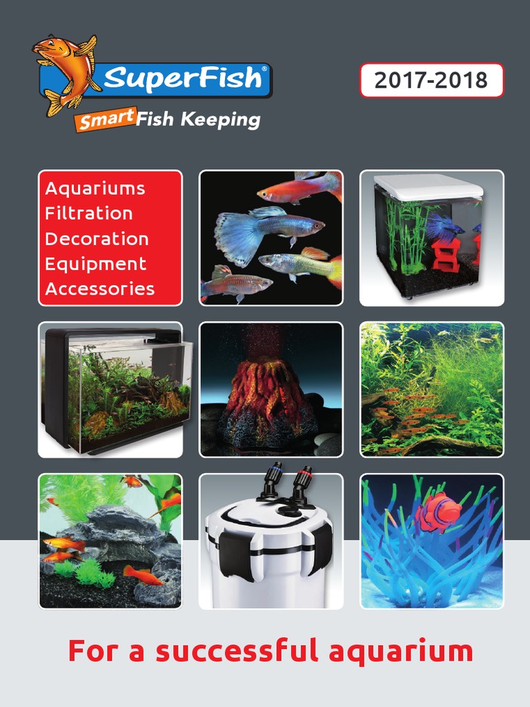 For A Successful Aquarium: Aquariums Filtration Decoration Equipment ...