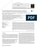 2016, Gene, A Novel Common Large Genomic Deletion and Two New Missense