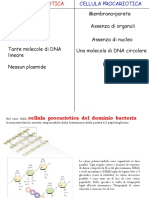4-CELLULA PROCARIOTICA .pdf