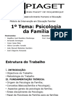1º Tema: Psicologia Da Família: Módulo de Intervenção em Educação Familiar Mestrado em Desenvolvimento Humano e Educação