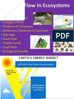 Energy Flow in Ecosystems PDF