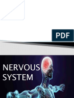 NERVOUS-SYSTEM.pptx