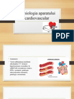 Cardivascular 2 Semio