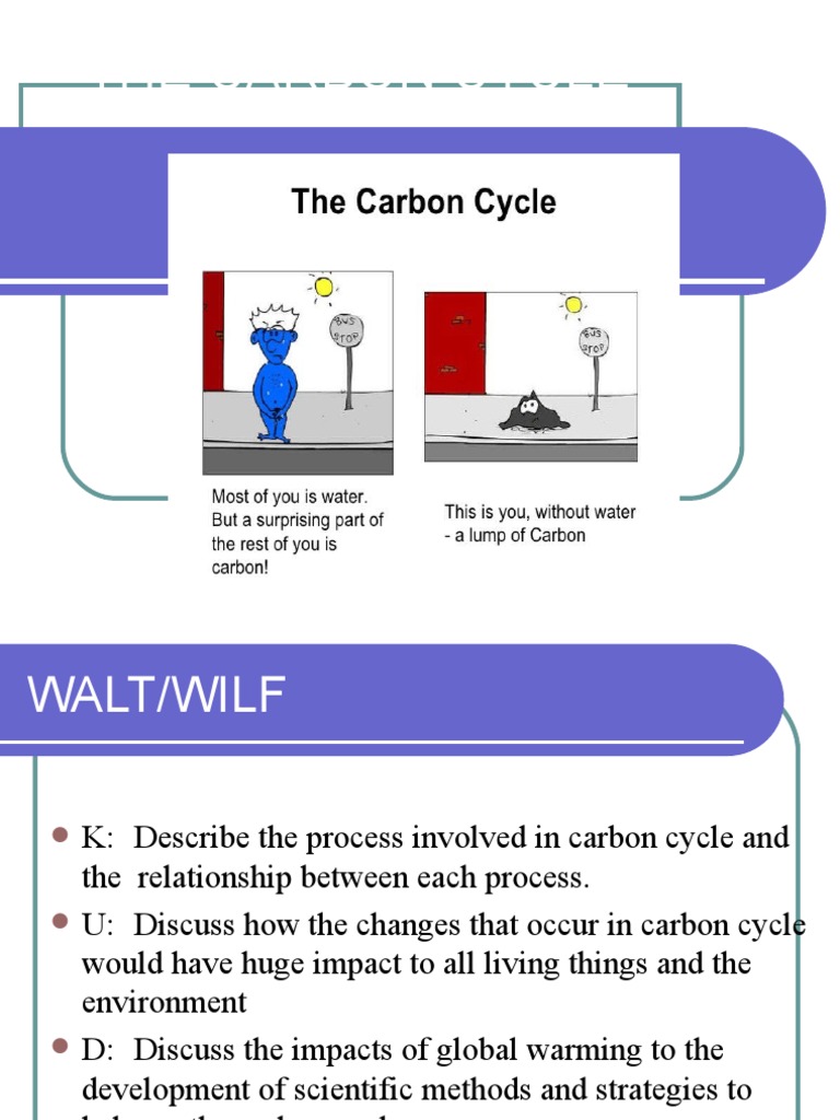 Understanding the Carbon Cycle Dynamics | PDF | Carbon Cycle | Global ...