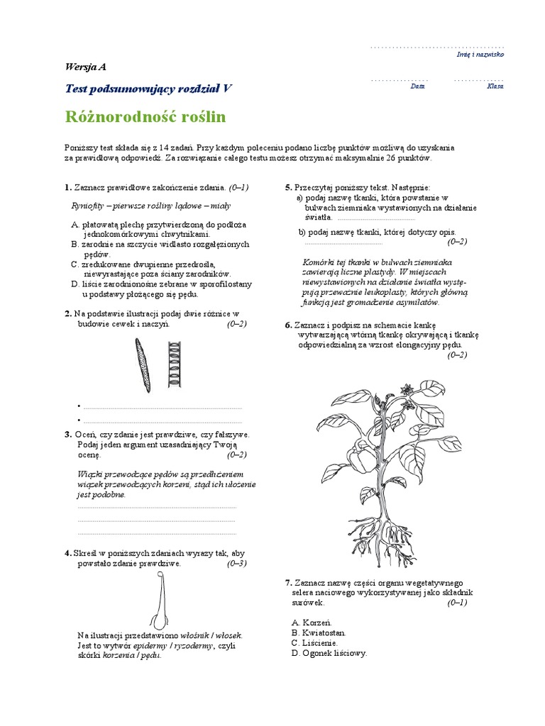 Roznorodnosc Roslin Klasa 5 Test Różnorodność Roślin: Test Podsumowujący Rozdział V | PDF