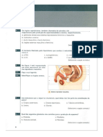 U1-asa - Cópia.pdf