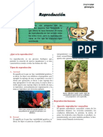 REPRODUCCION 12 - 11.pdf
