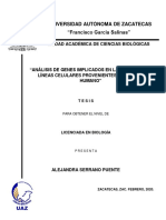 Tesis Final Ale Febrero 2020 PDF