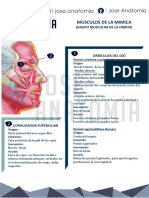 JOSE ANATOMIA -SEMANA 11 Y 12.pdf