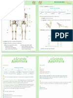 fichas-estudo-do-meio-ESQUELETO4-ano (2).pdf