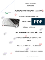 R-23-07-2020-castillejos-pozuelo-calculoIntegral-U4-EP1-PROBLEMARIO-CASOS PRÁCTICOS PDF