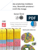 FNA CCX Ovojnice, CSF, KŽ Za Miru 2020 - gs15F