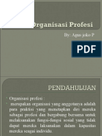 4 Organisasi Profesi - Dunia