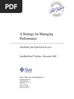 A Strategy For Managing Performance: John Brady, Sun Professional Services