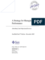 A Strategy For Managing Performance: John Brady, Sun Professional Services