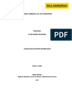 Ejemplo Plan de Manejo Ambiental PDF