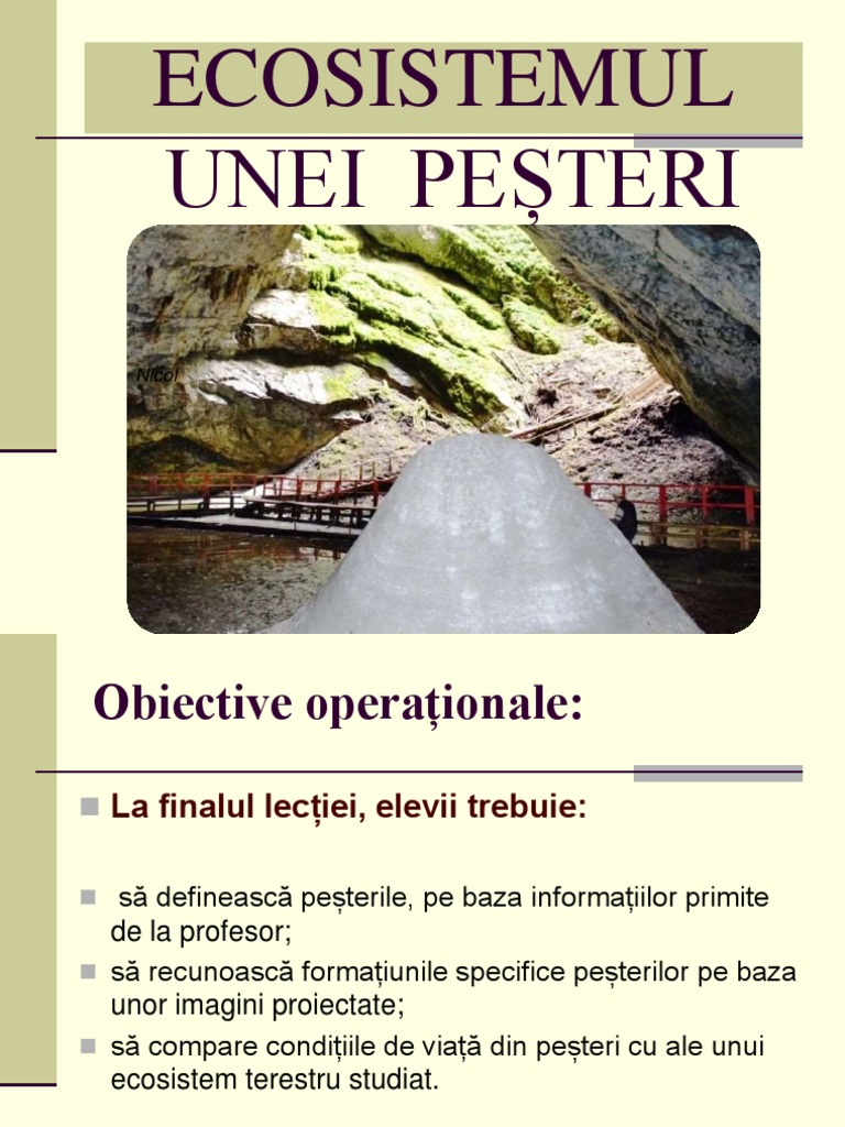 Pestera PDF | PDF