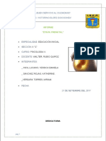 informe.docx