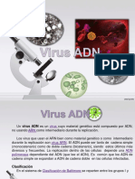 Virus DNA