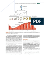 Embriologia Medica Langman 13a Edicion - Booksmedicos - Org-Ilovepdf-Compressed-62-63