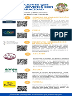 Infografía 2 (Instituciones Que Atienden A Jóvenes Con Discapacidad)