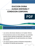 Cronologia Dentaria y CC