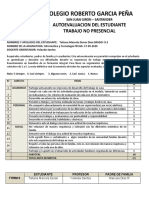 Formato Autoevaluacion - Desde La Virtualidad