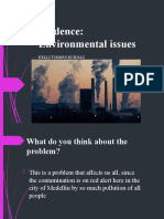 Evidence: Environmental issues in Medellin and solutions