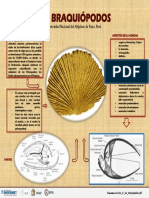 Infografia