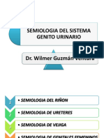 semiologadelsistemagenitourinario-100504000327-phpapp02.pdf