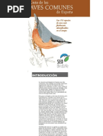 Cerebellar Function Multiple Topographic Maps of Visual Space | PDF ...