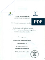 Tesis de ácido láctico.pdf