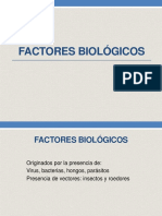FACTORES BIOLÓGICOS.pdf