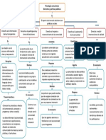 Mapa Conceptual