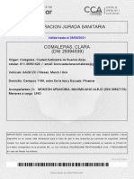 DDJJ Sanitaria Pinamar 29394539