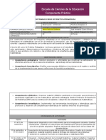 Plan de Trabajo Curso de Práctica Pedagógica-Limat