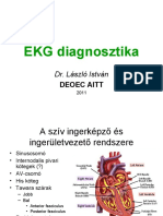 EKG Diagnosztika (Részletes)