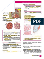 Placental Growth and Maturation: A Concise Overview