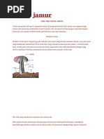 Download jamur by novyuh1504 SN48567727 doc pdf