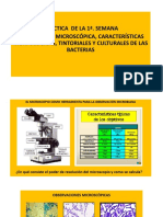 PROCEDIMIENTO PARA LA PRACTICA  DE LA 1ª