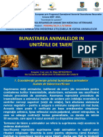 Bunastarea Animalelor in Unitatile de Taiere