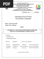 memoire.pdf