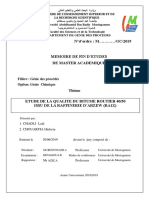 Memoire PDF