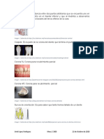 Dimensión vertical: distancia entre puntos maxilares