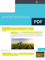 Clases de Optativa PDF