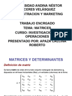 APAZA CALCINA ROBERTO - MATRICES.ppt