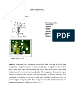 Template Laporan Biologi Bunga