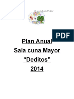 258800230-Plan-Anual-Sc-Mayor.doc